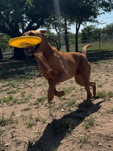 Durango