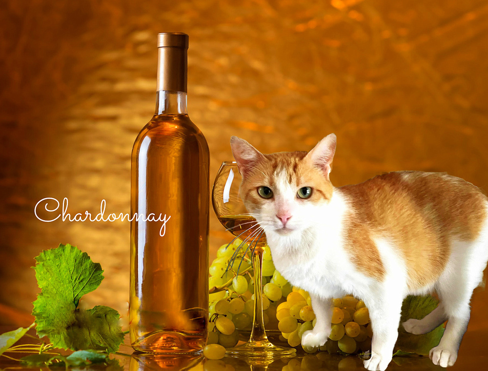 Chardonnay