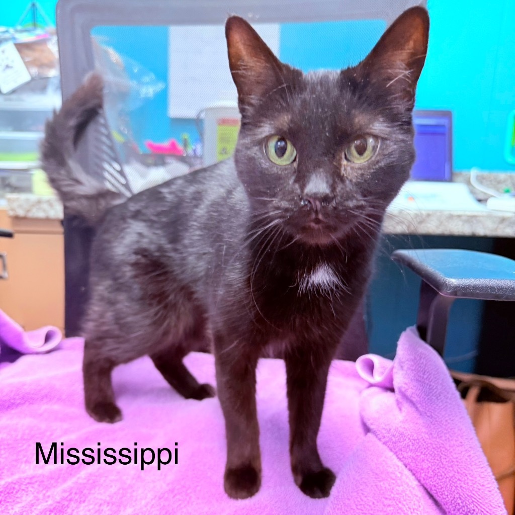 Mississippi