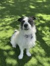 Cash (Winston) photo 2
