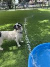 Cash (Winston) photo 5