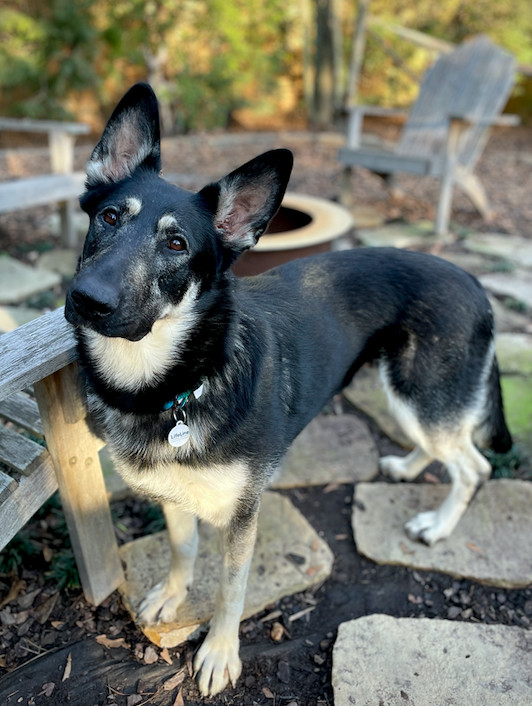 Gracie