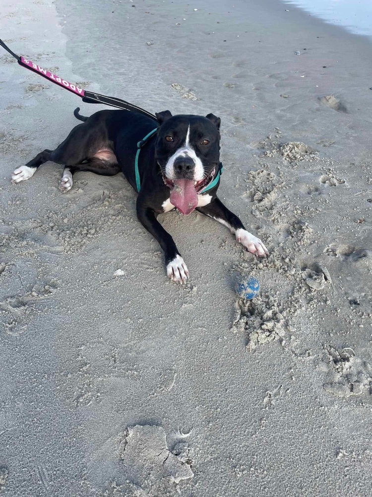 Bonnie