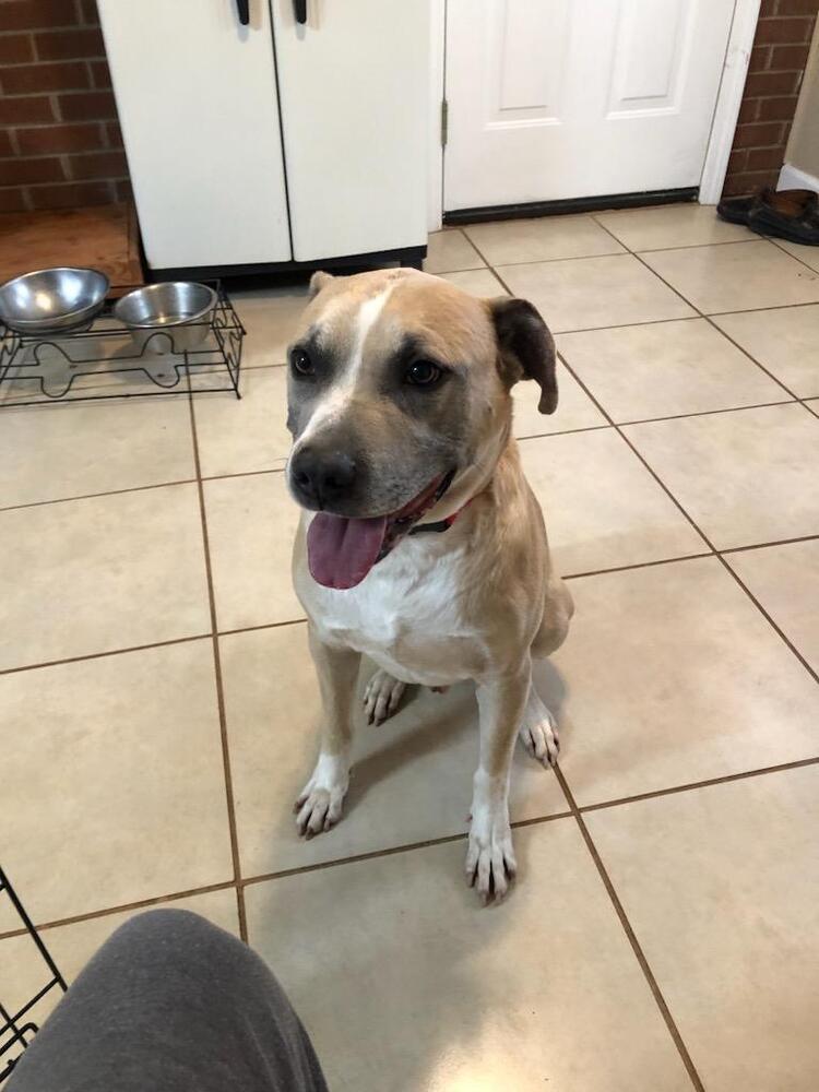 Bo