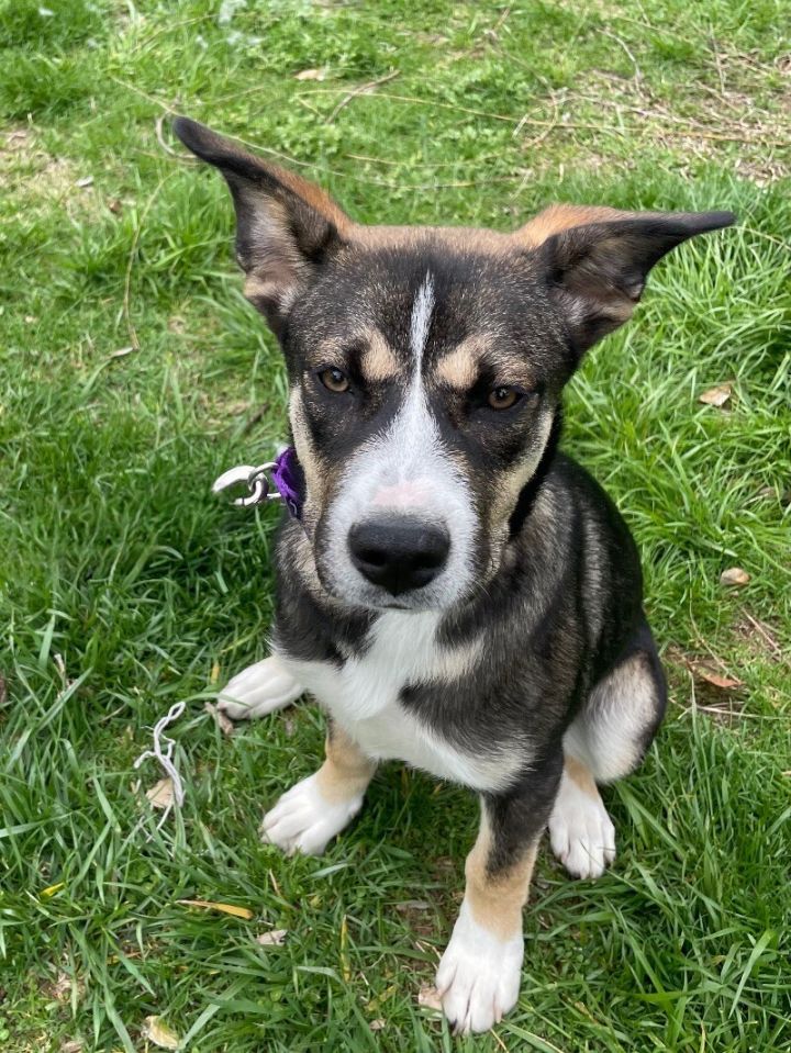 Teagan 2