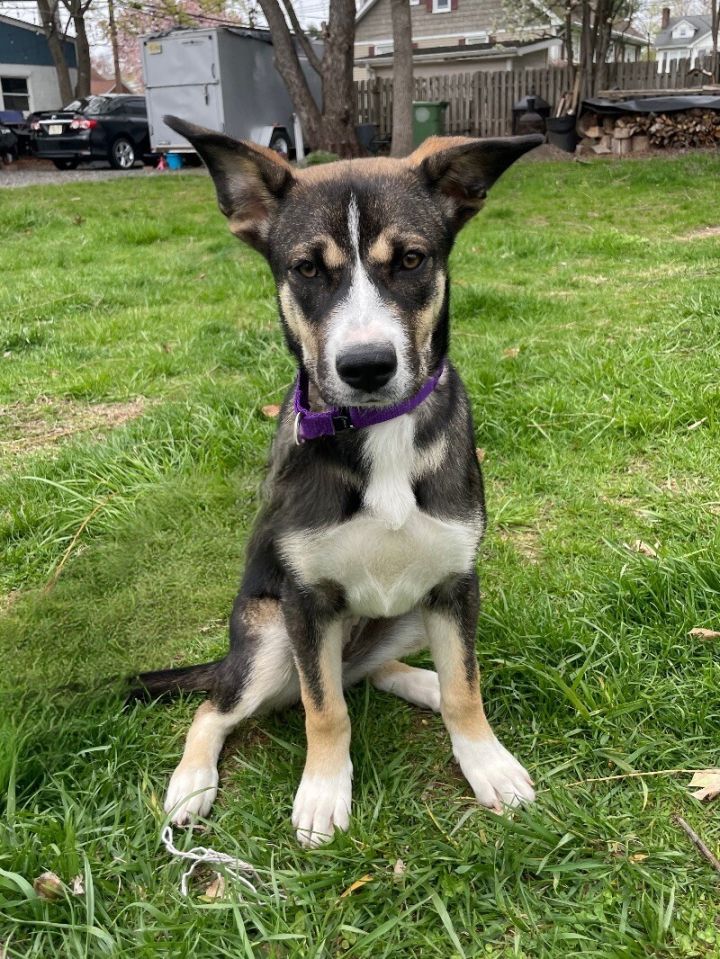 Teagan 3