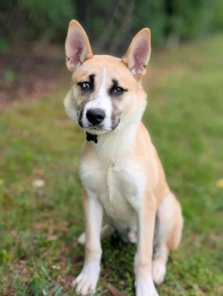 Tucker 2