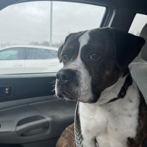 Benson (In Foster)