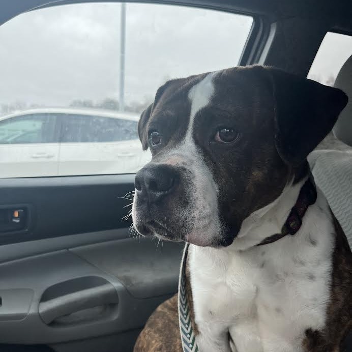 Benson (In Foster) 1