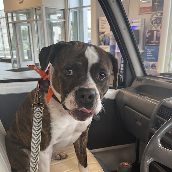 Benson (In Foster) 2