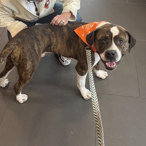 Benson (In Foster) 3