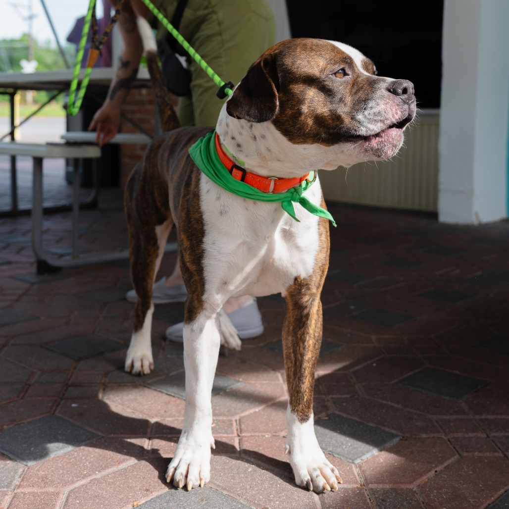 Benson (In Foster)
