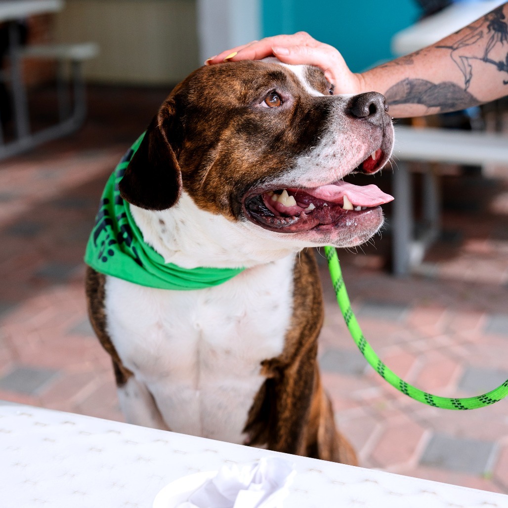 Benson (In Foster)