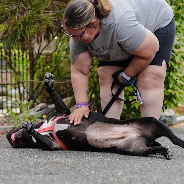 Molly (In Foster)