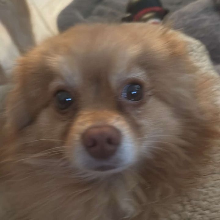 Ted 1