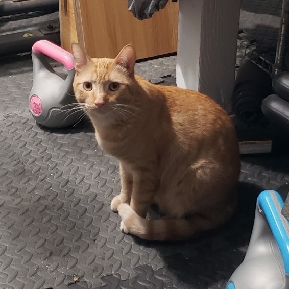 Squanchy 2