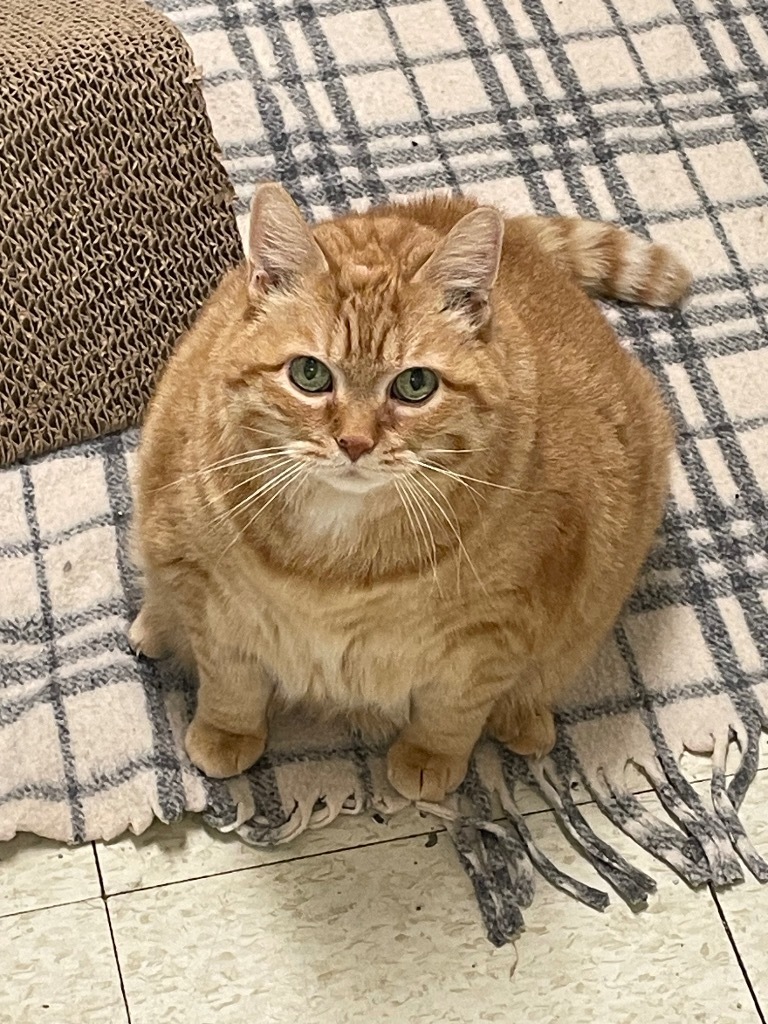 Butterball