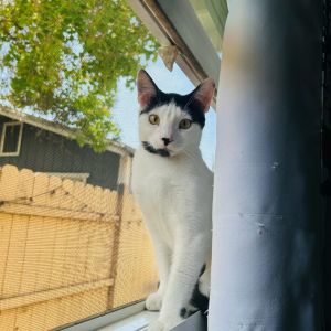 Meet Safari the sweetest little explorer with a heart full of love This adorab