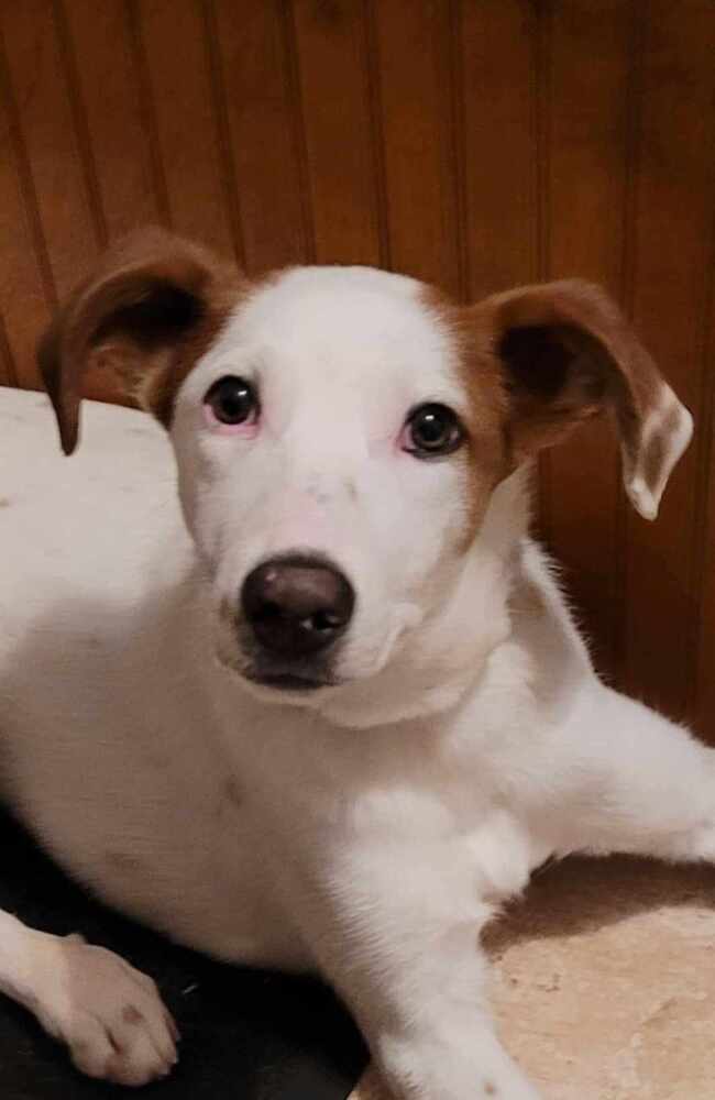 Finnegan