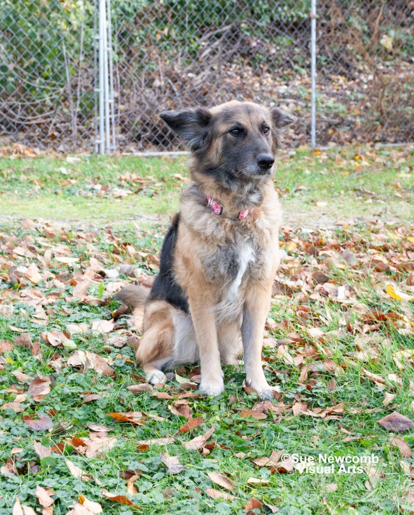 Roxanne