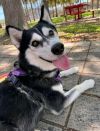 Geraldine photo 1