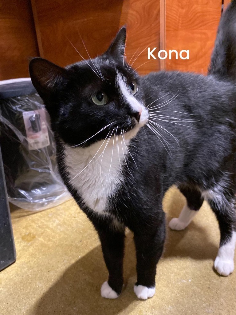 KONA