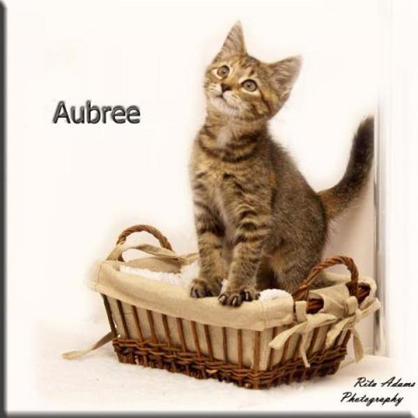 Aubree 2