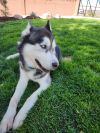 Thor photo 6