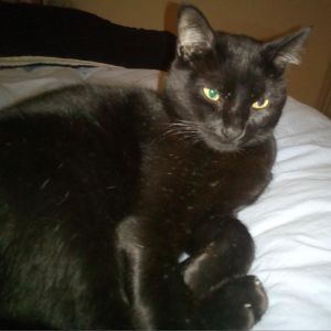 Clem is an older boy He rescued himself during a rainstorm by grabbing onto a m
