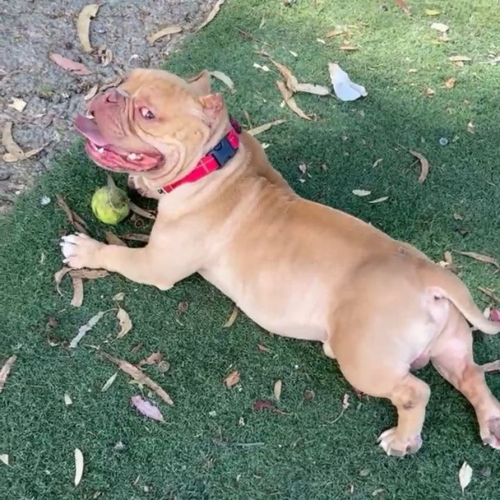 Buttah /A1031127 3