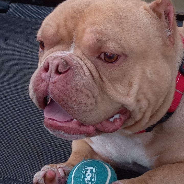 Buttah /A1031127 4
