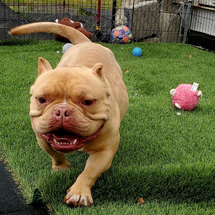 Buttah /A1031127 5