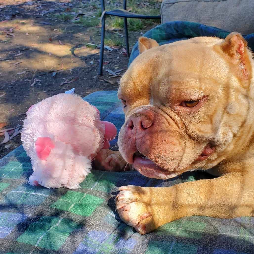 Buttah Ball/A1031127