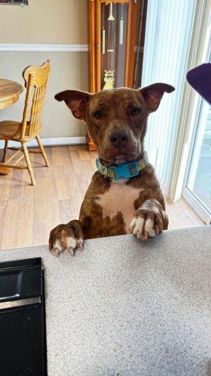 Penny