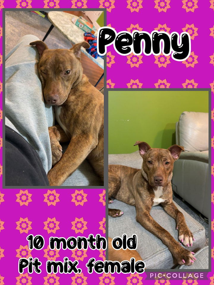 Penny