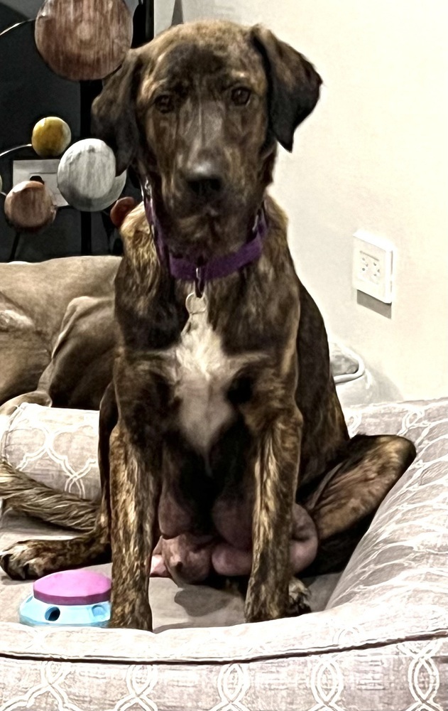 Mama Bahama
