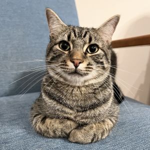Eddie