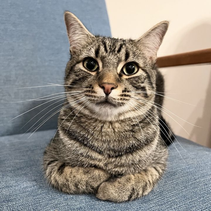 Eddie 1