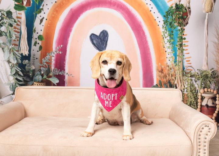 Rosie (Bonded with Ruby) 2