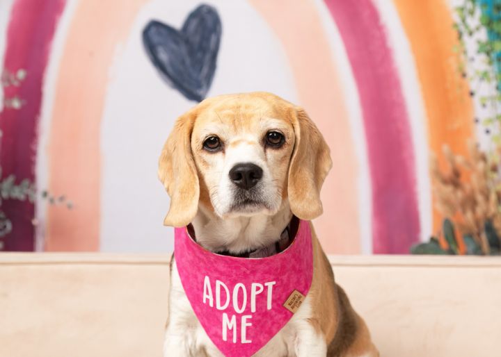 Rosie (Bonded with Ruby) 3