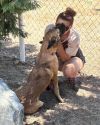Buttercup photo 2
