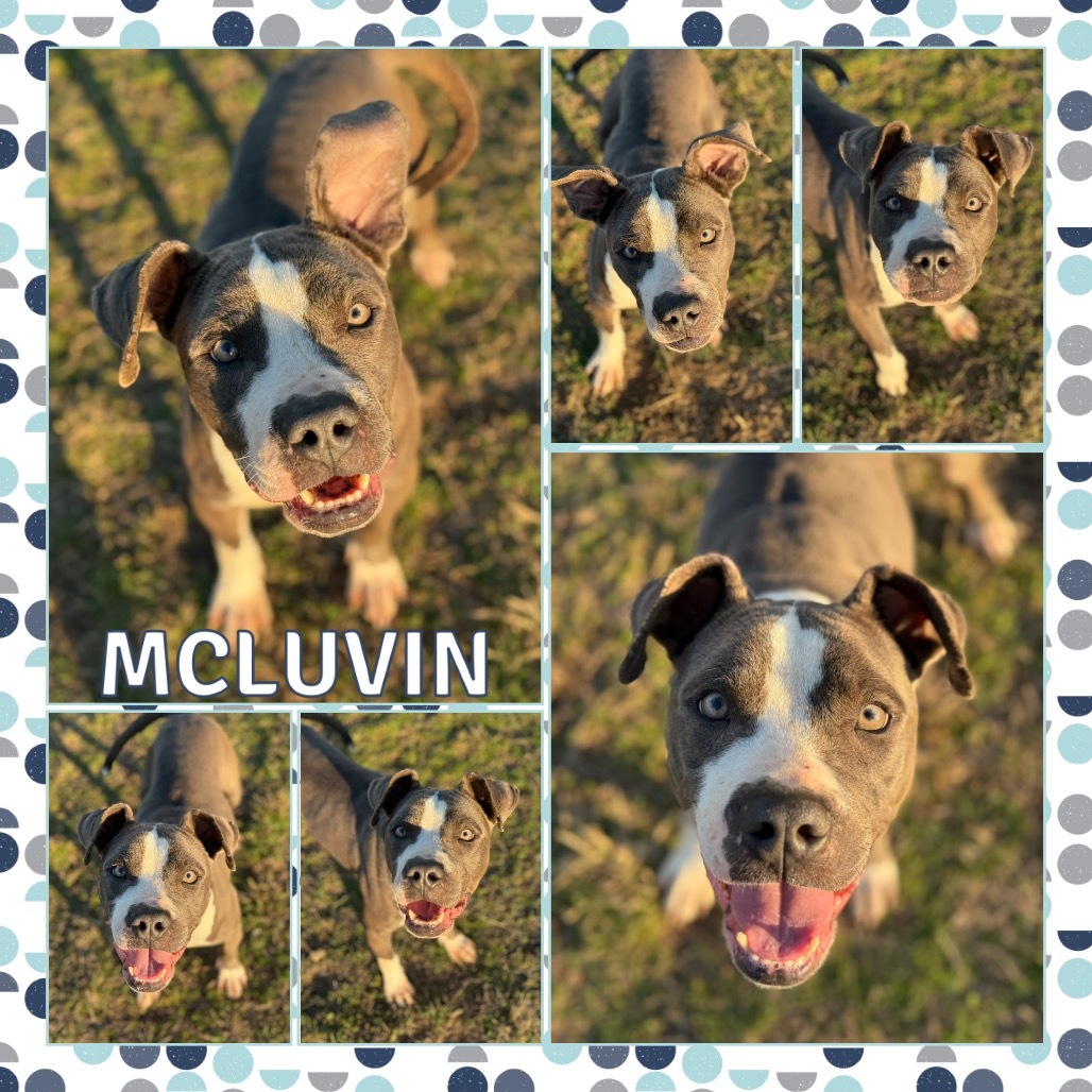 McLuvin
