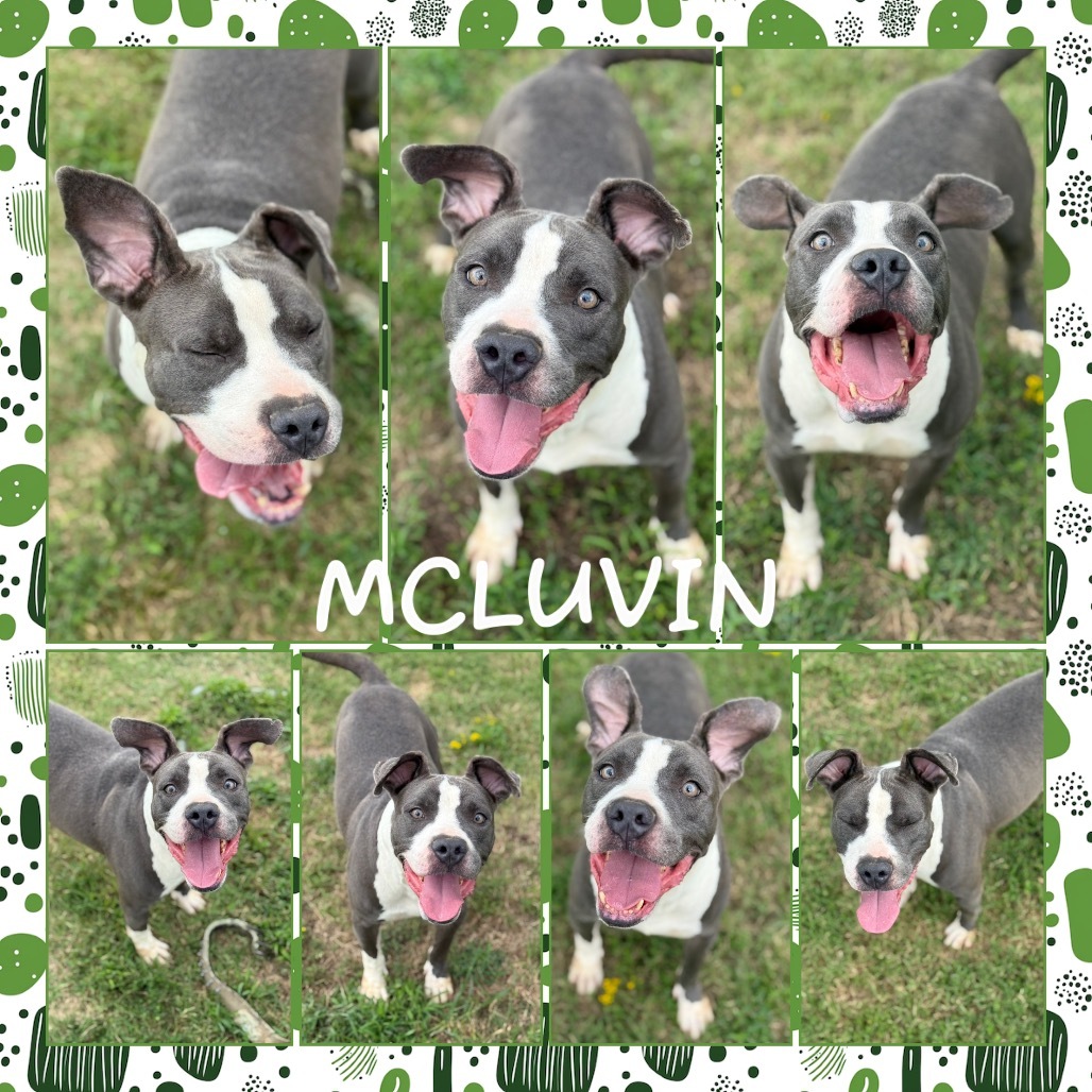 McLuvin