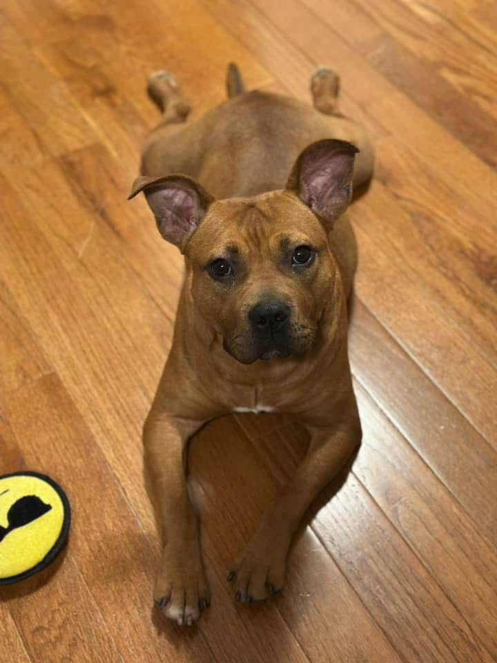 Ember