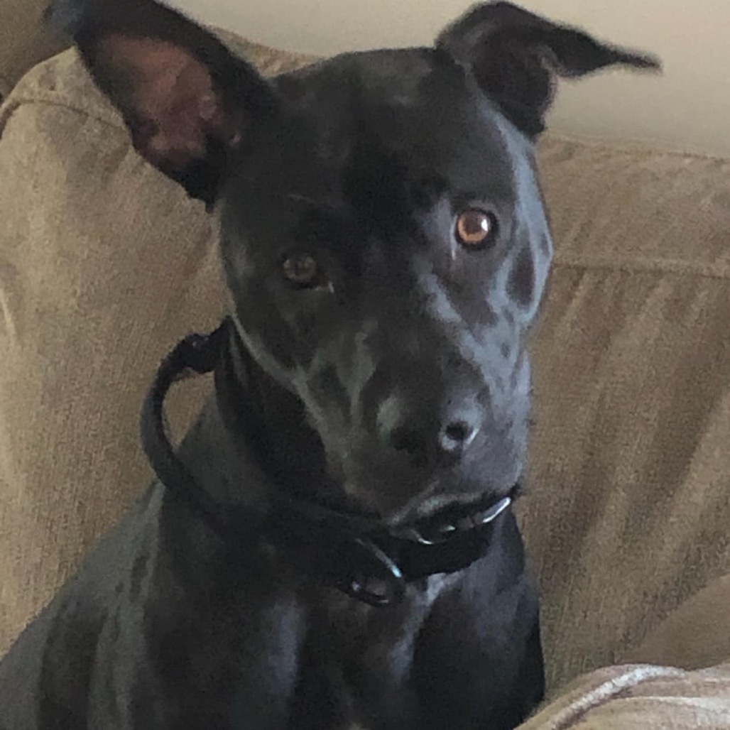 Lexie