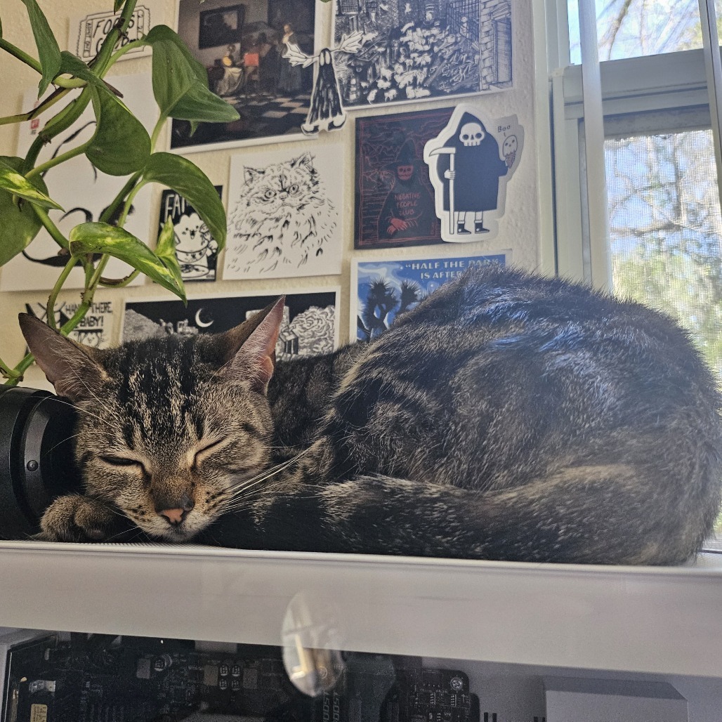 Eloise