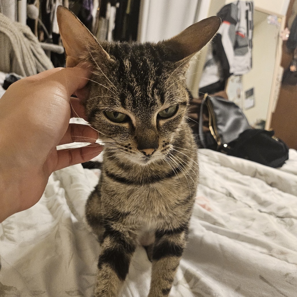 Eloise
