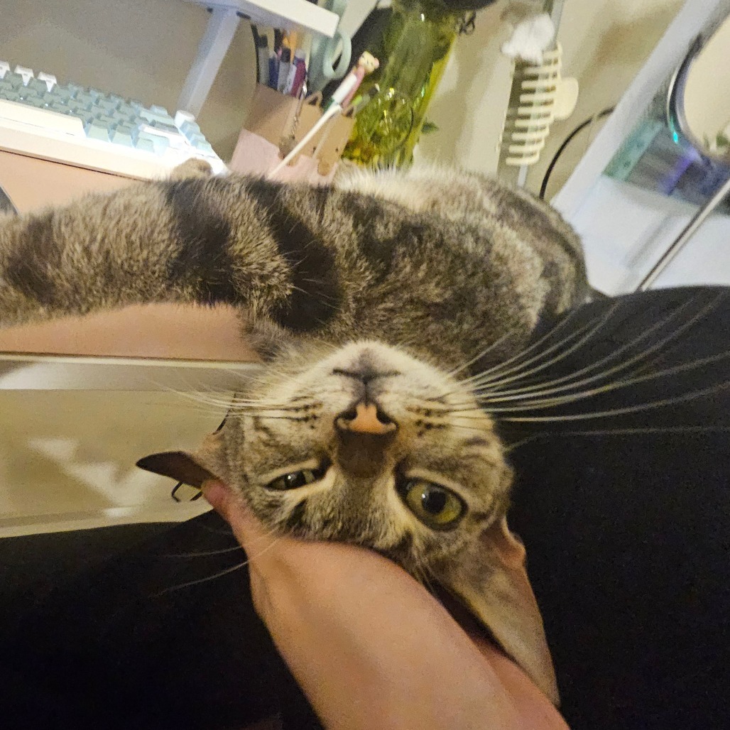 Eloise