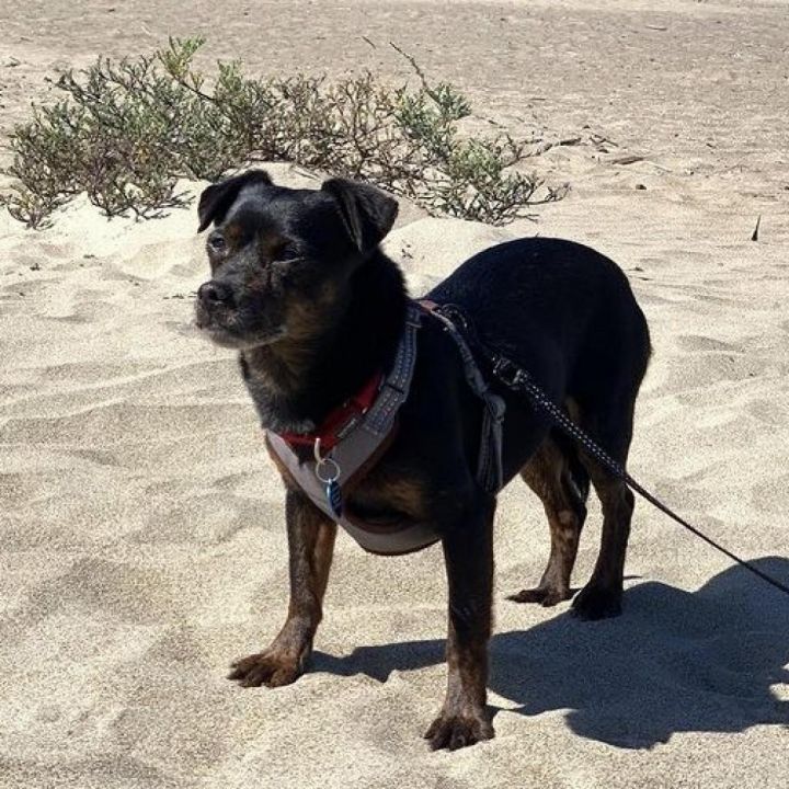 Sonny 3