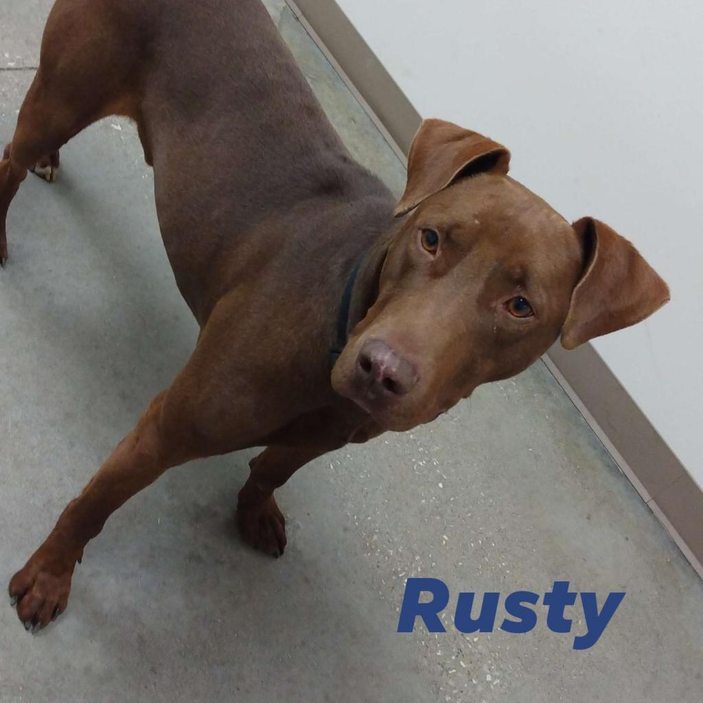 Rusty